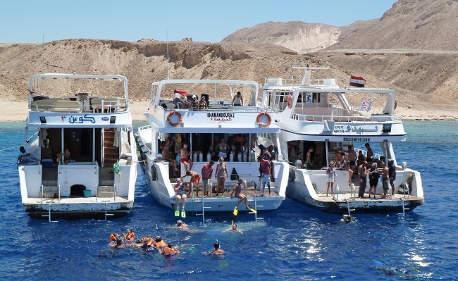 Snorkelling site at Tiran Island