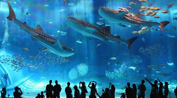 grand-aquarium-hurghada
