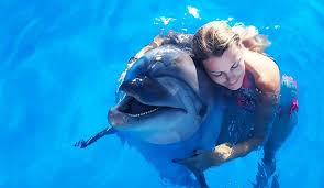 images (14)