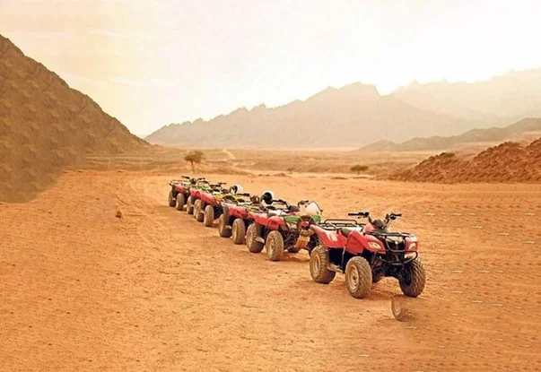 Quad Bike Safari 3 hours 2_45564_lg
