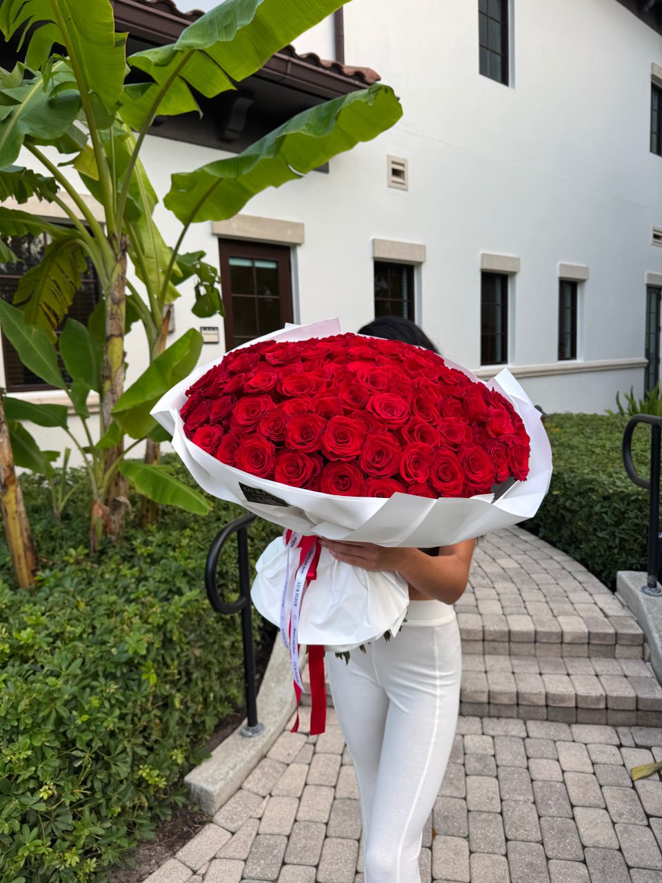 Scarlet Roses - Image 7